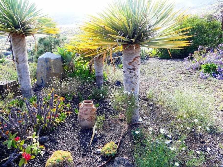 Magnificent Villa With Panoramic Views Santa Cruz de Tenerife Kültér fotó